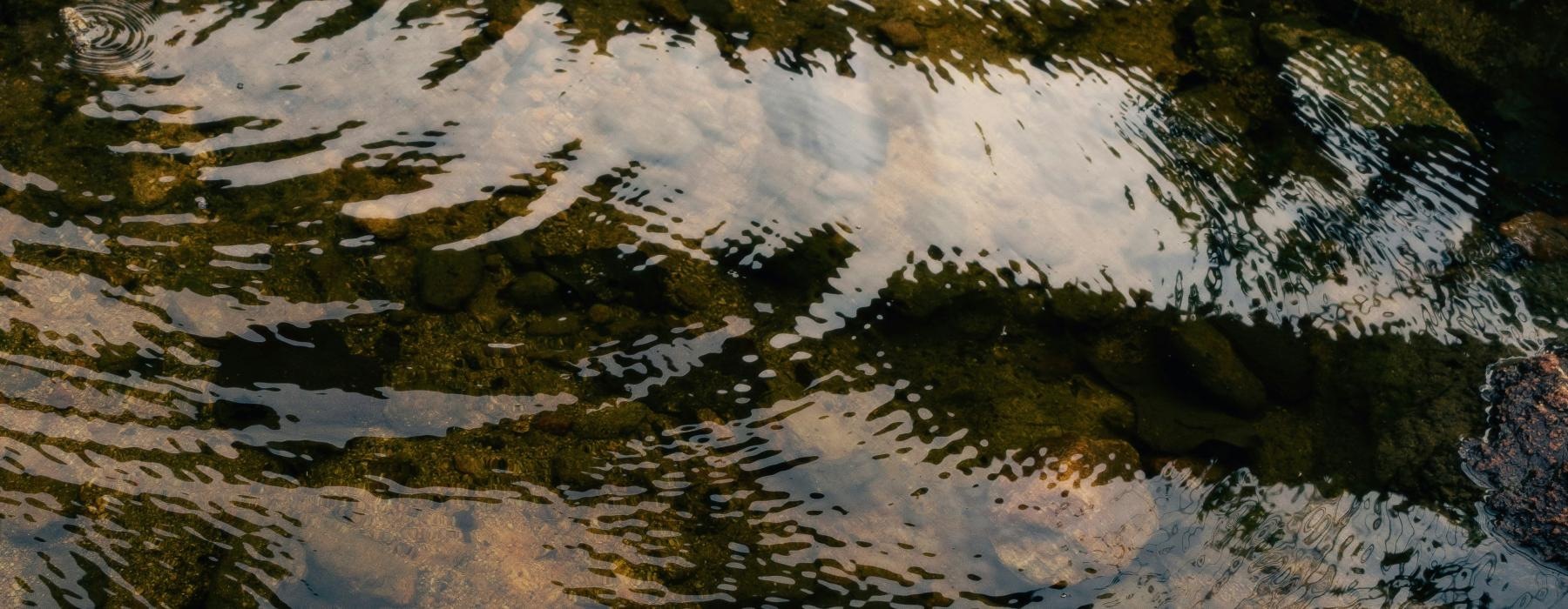 a body of water with ripples