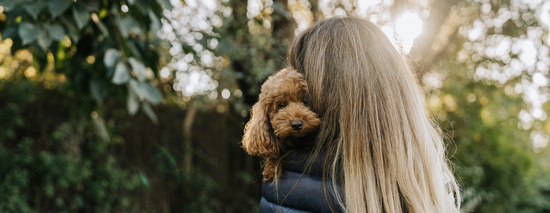 Pet-Friendly Arlington Living